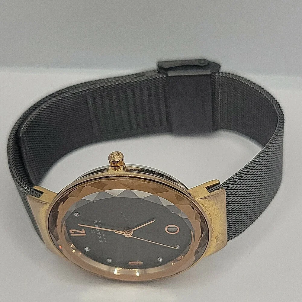 Skagen SKW2120 Women's Stainless Steel Mesh Analog Dial Quartz Wrist Watch AM613